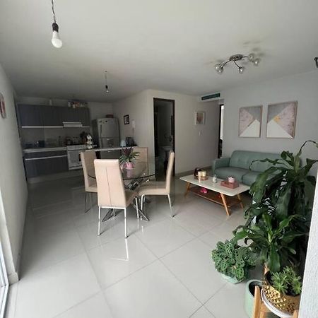 Departamento En Coyoacan Мехико Экстерьер фото